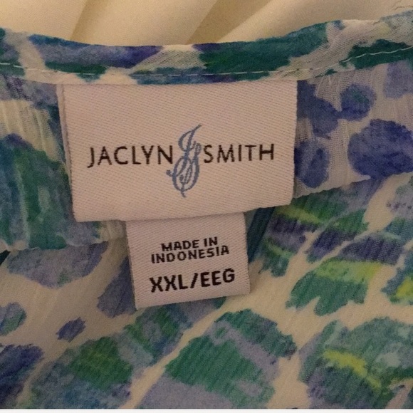 ✂️ JACLYN SMITH Gorgeous multicolor sheer blouse XXL 14/16 fit - Picture 3 of 3